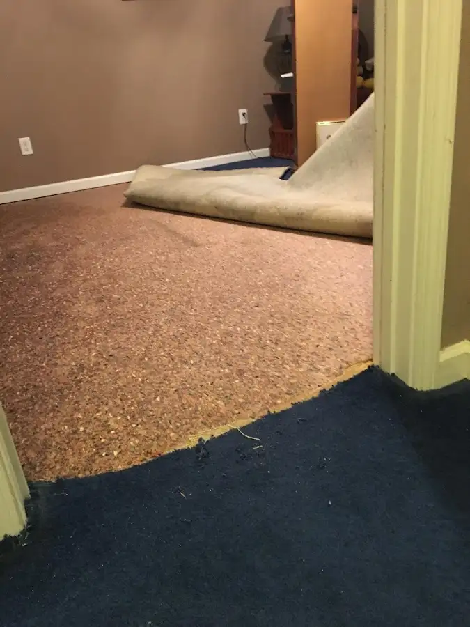 Carpet pad removal revealing water damage during Drying & Dehumidification in Old Saybrook