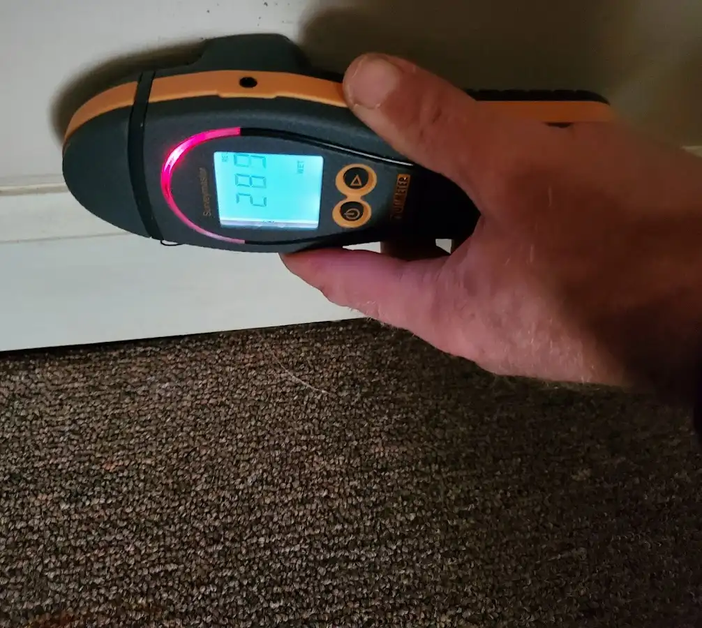 Moisture detection at baseboard during Sewage Cleanup & Sanitation in Old Saybrook